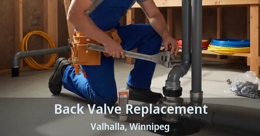 Back Valve Replacement Valhalla, Winnipeg - MB