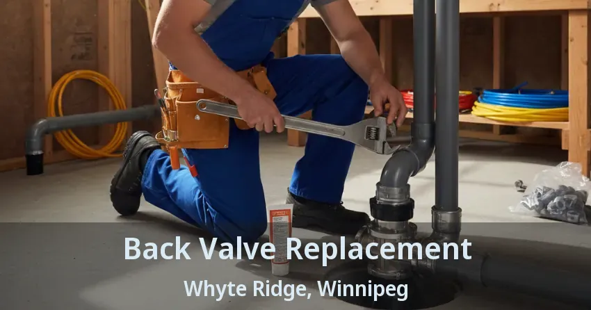 Back Valve Replacement Whyte Ridge, Winnipeg - MB